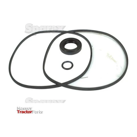 Seal Kit (Hydraulic Pump) | Sparex Part No.S.57972 0.15 kg