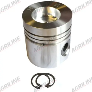 PISTON, PIN & CLIPS 
