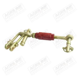 CHECK CHAIN ASSEMBLY