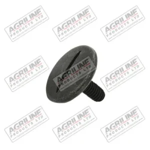 Rear Window Glass to Frame Screw