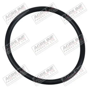 Diff Input Shaft O Ring - 366434X1